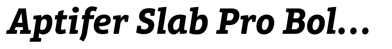 Aptifer Slab Pro Bold Italic